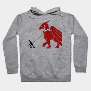 How to walk a Dragon Hoodie